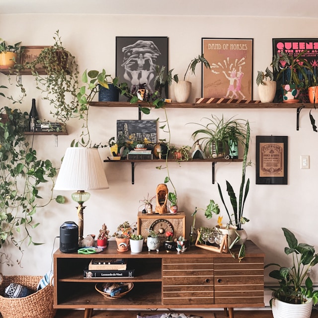 植物