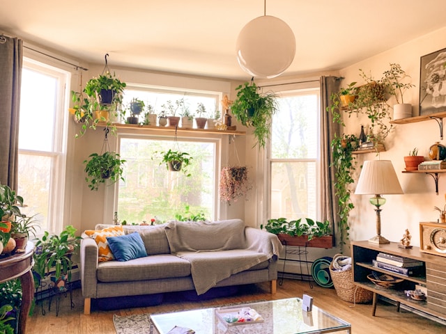 植物